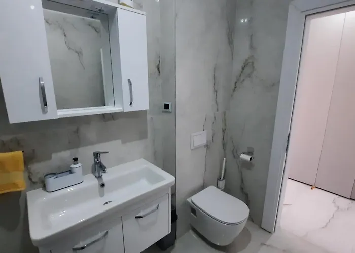 Apartment Speranta Timişoara